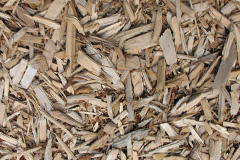 biomass boilers Quoys